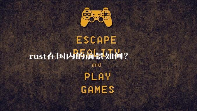 rust在国内的前景如何？