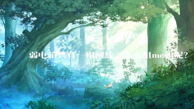 弱电箱只有一根网线，怎么组mesh呢？