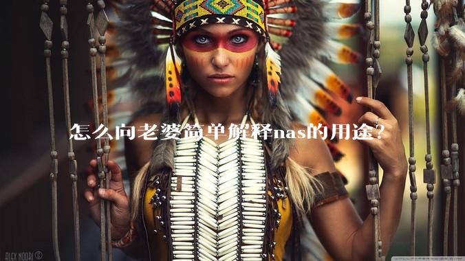 怎么向老婆简单解释nas的用途？