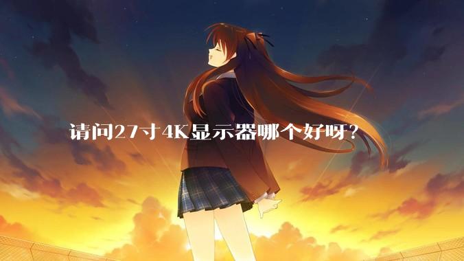 请问27寸4K显示器哪个好呀？