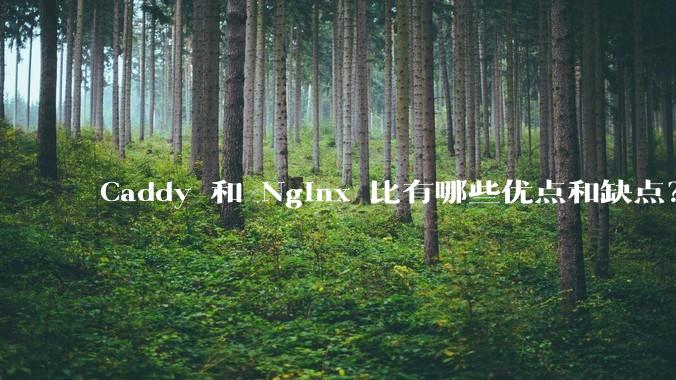 Caddy 和 Nginx 比有哪些优点和缺点？