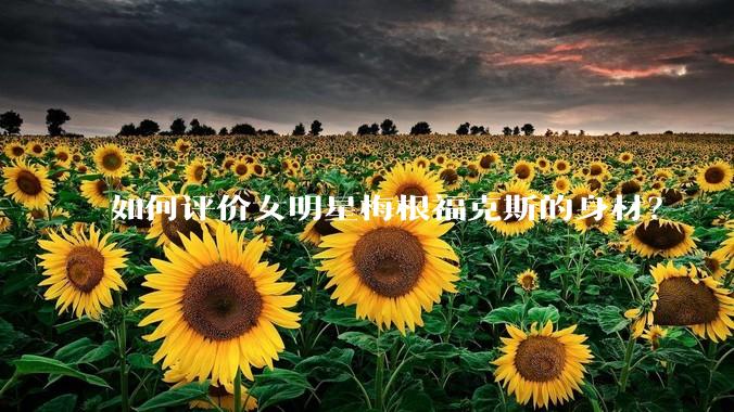 如何评价女明星梅根福克斯的身材？