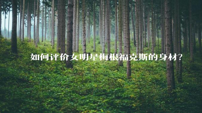 如何评价女明星梅根福克斯的身材？