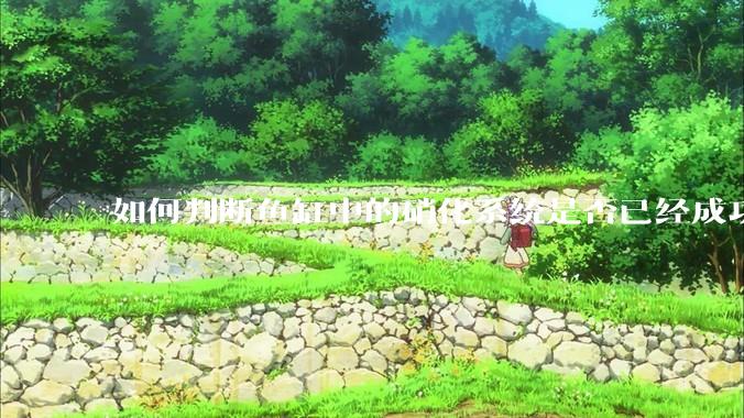 如何判断鱼缸中的硝化系统是否已经成功建立？