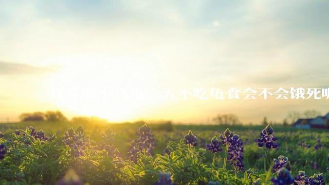 我养的小乌龟一天不吃龟食会不会饿死呢？