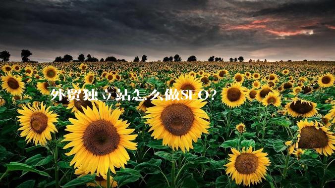 外贸独立站怎么做SEO？