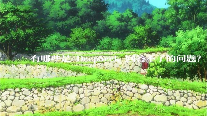 有哪些是 DeepSeek 回答不了的问题？