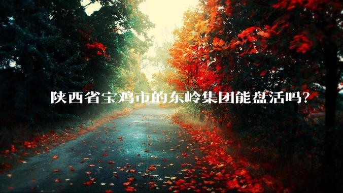 陕西省宝鸡市的东岭集团能盘活吗？