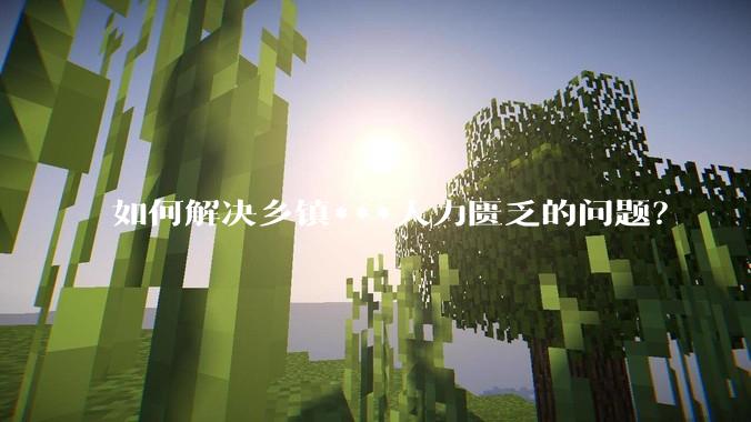 如何解决乡镇***人力匮乏的问题？