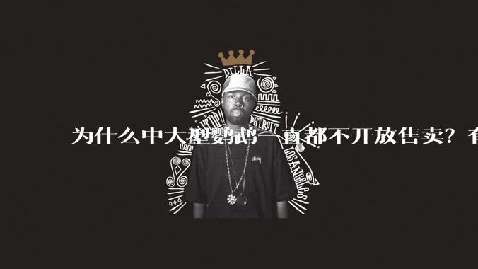 为什么中大型鹦鹉一直都不开放售卖？有哪些原因呢?