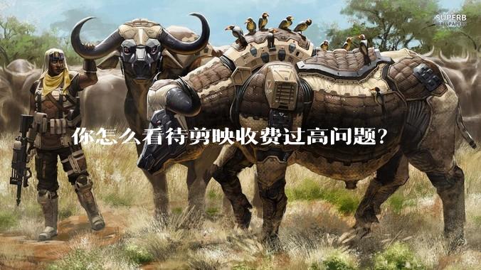 你怎么看待剪映收费过高问题？