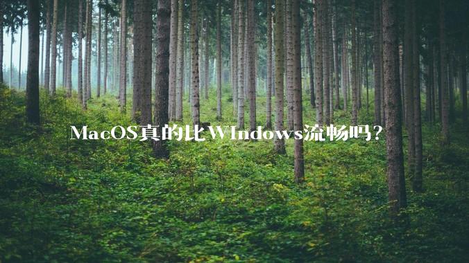 MacOS真的比Windows流畅吗？