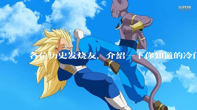 各位历史发烧友，介绍一下你知道的冷门史实或逆天史实？