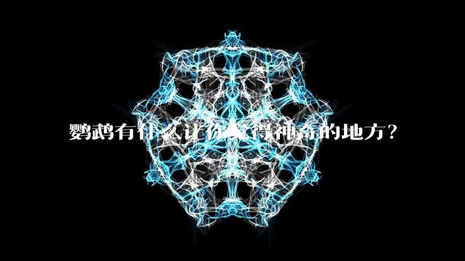 鹦鹉有什么让你觉得神奇的地方？