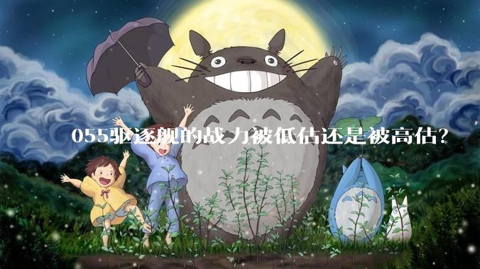 055驱逐舰的战力被低估还是被高估？