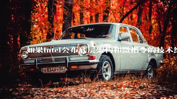 如果intel公布底层架构和微指令的技术细节，能否帮助程序员写出更高效的代码？intel为何不这么做？