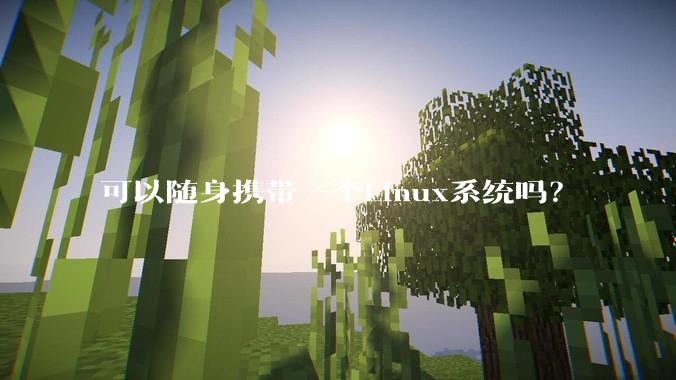 可以随身携带一个Linux系统吗？