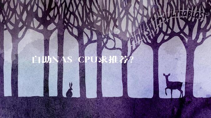 自助NAS CPU求推荐？
